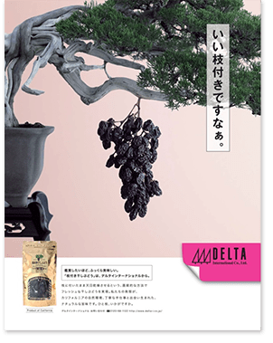 2013年11月 『東京カレンダー』、『&プレミアム』に「枝付き干しぶどう」の広告を掲載しました