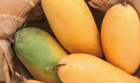 デルタインターナショナル