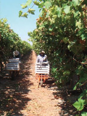 デルタインターナショナル