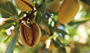 デルタインターナショナル