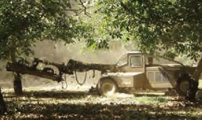 デルタインターナショナル