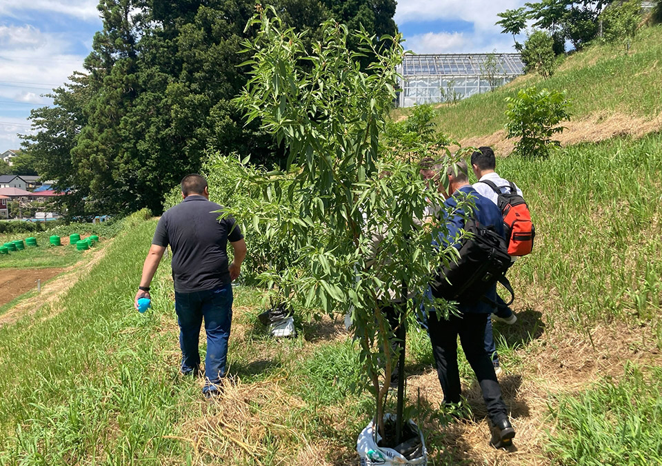 アメリカから日本へ。苗木が届くまでのストーリー イメージ写真