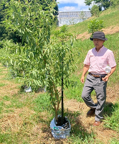 タイムライン　イメージ写真