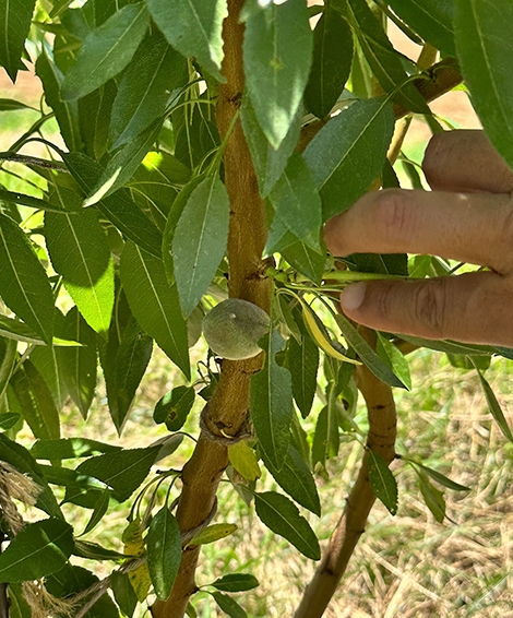 タイムライン　イメージ写真