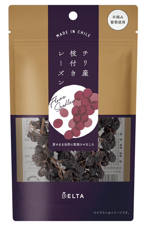 チリ産枝付きレーズン 60g